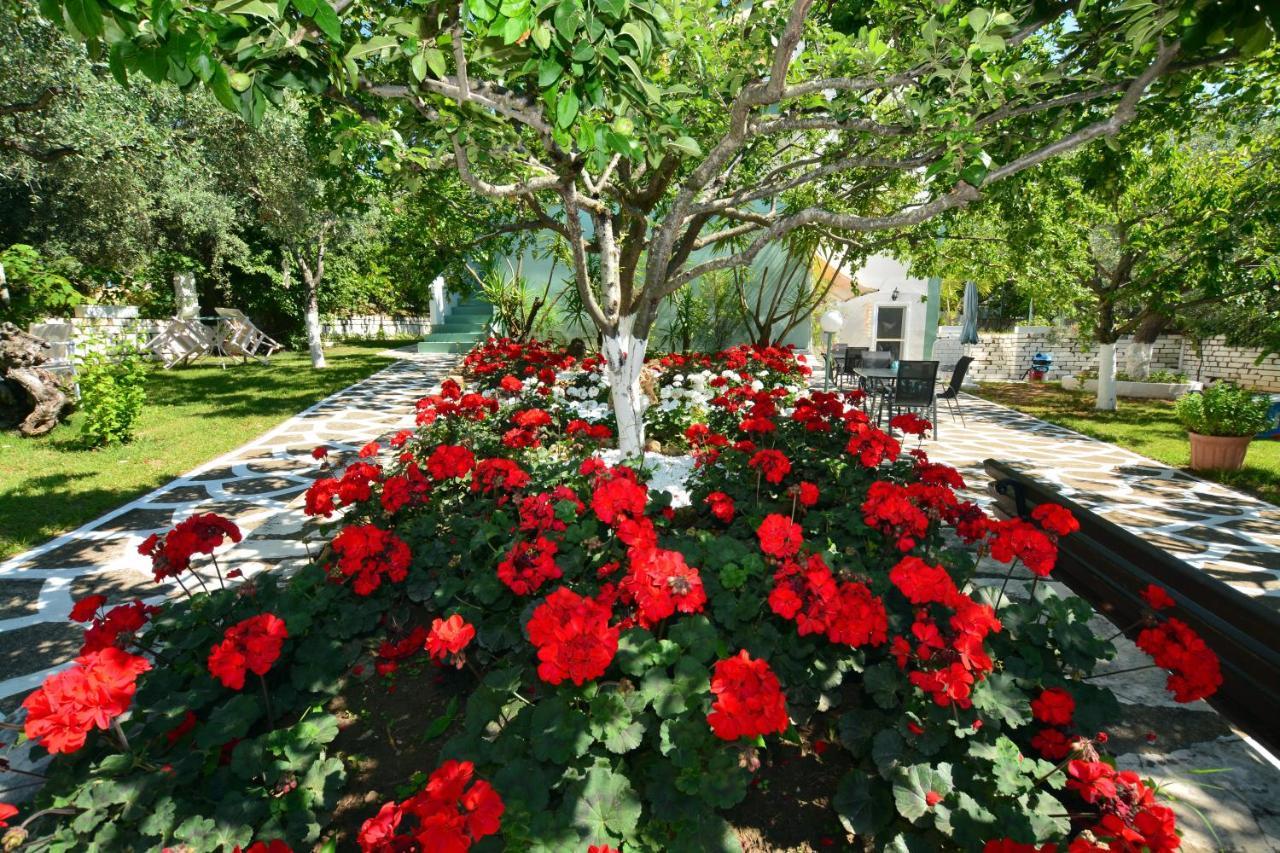 Villa Emilia Pachis (Thasos) Exterior foto